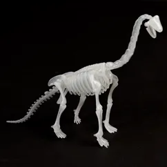 assorted glow-in-the-dark dinosaur skeleton kit