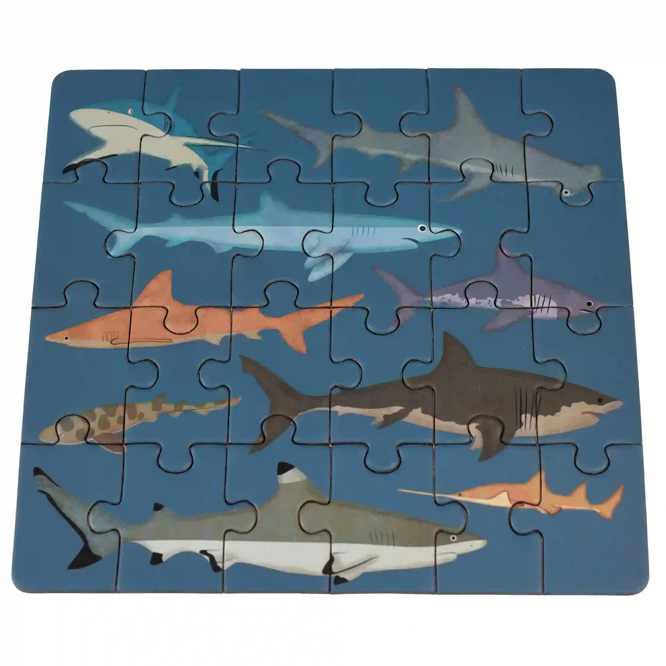 mini jigsaw puzzle - sharks