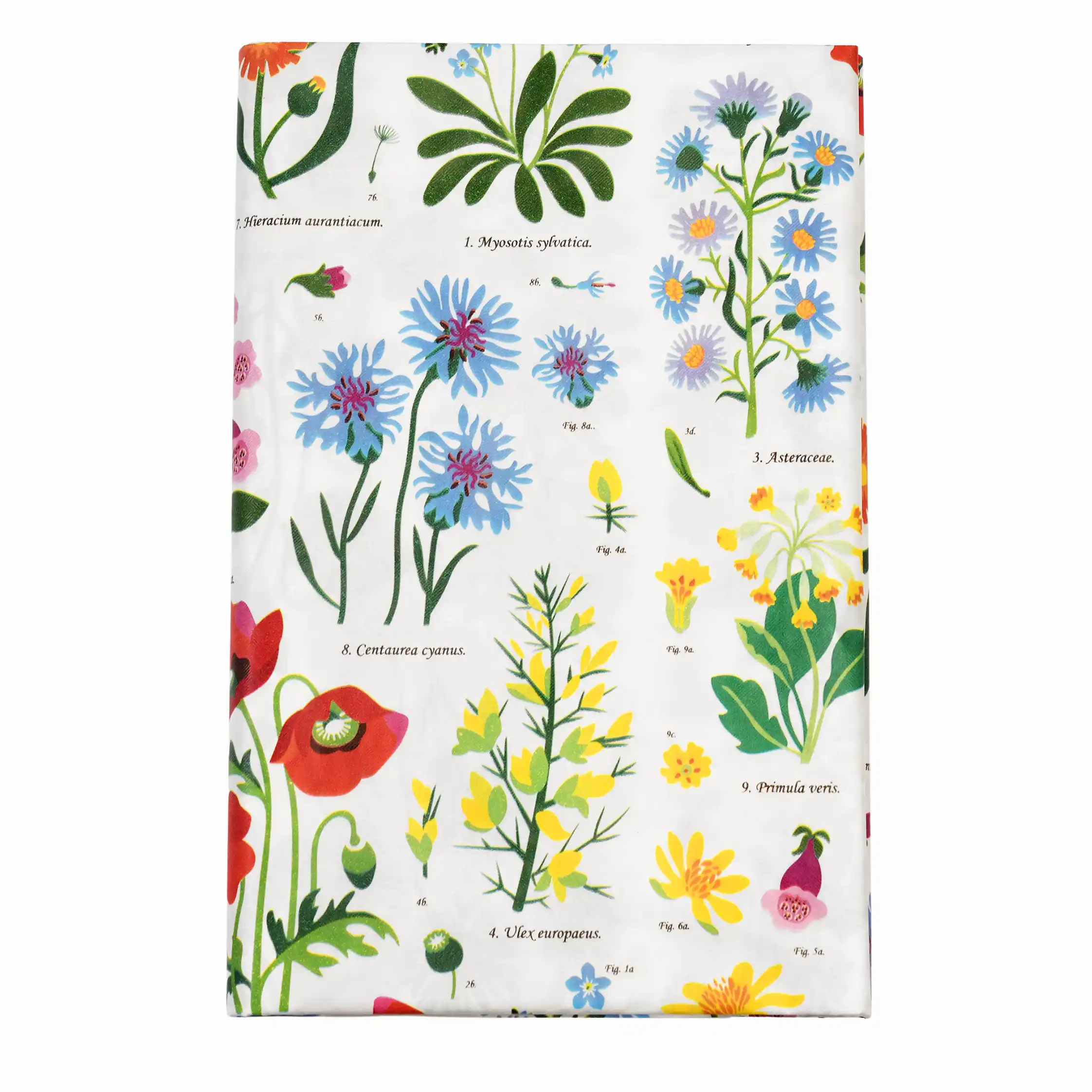 paper tablecloth (180x120cm)- wild flowers