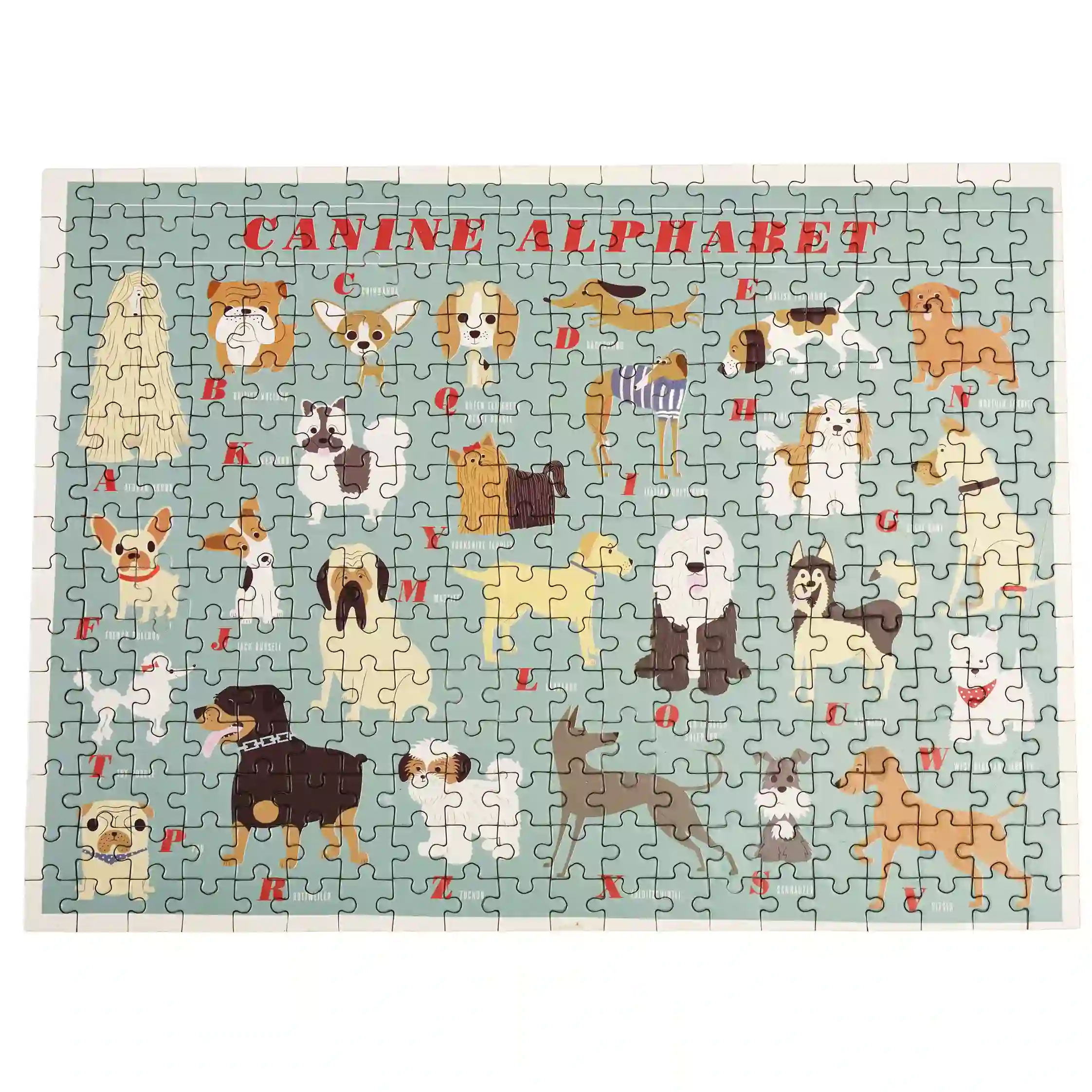 jigsaw puzzle (300 pieces) - best in show canine alphabet