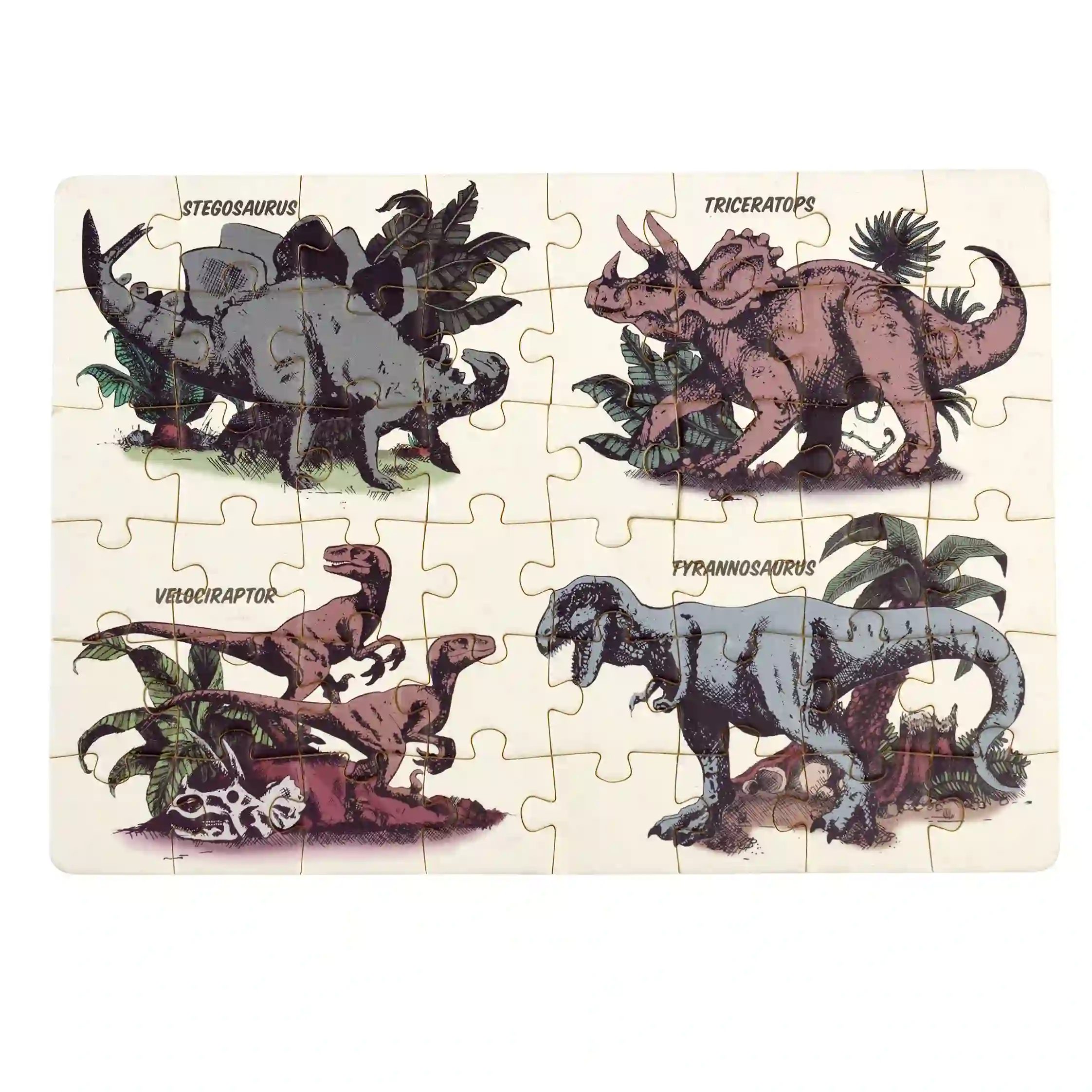 puzzle de boîte d'allumettes prehistoric land