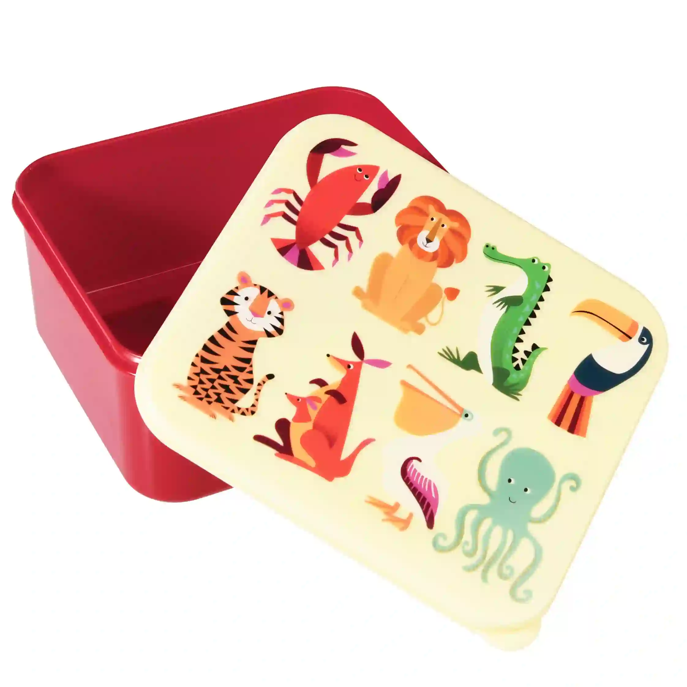 lunchbox colourful creatures