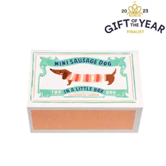 mini sausage dog in a little box