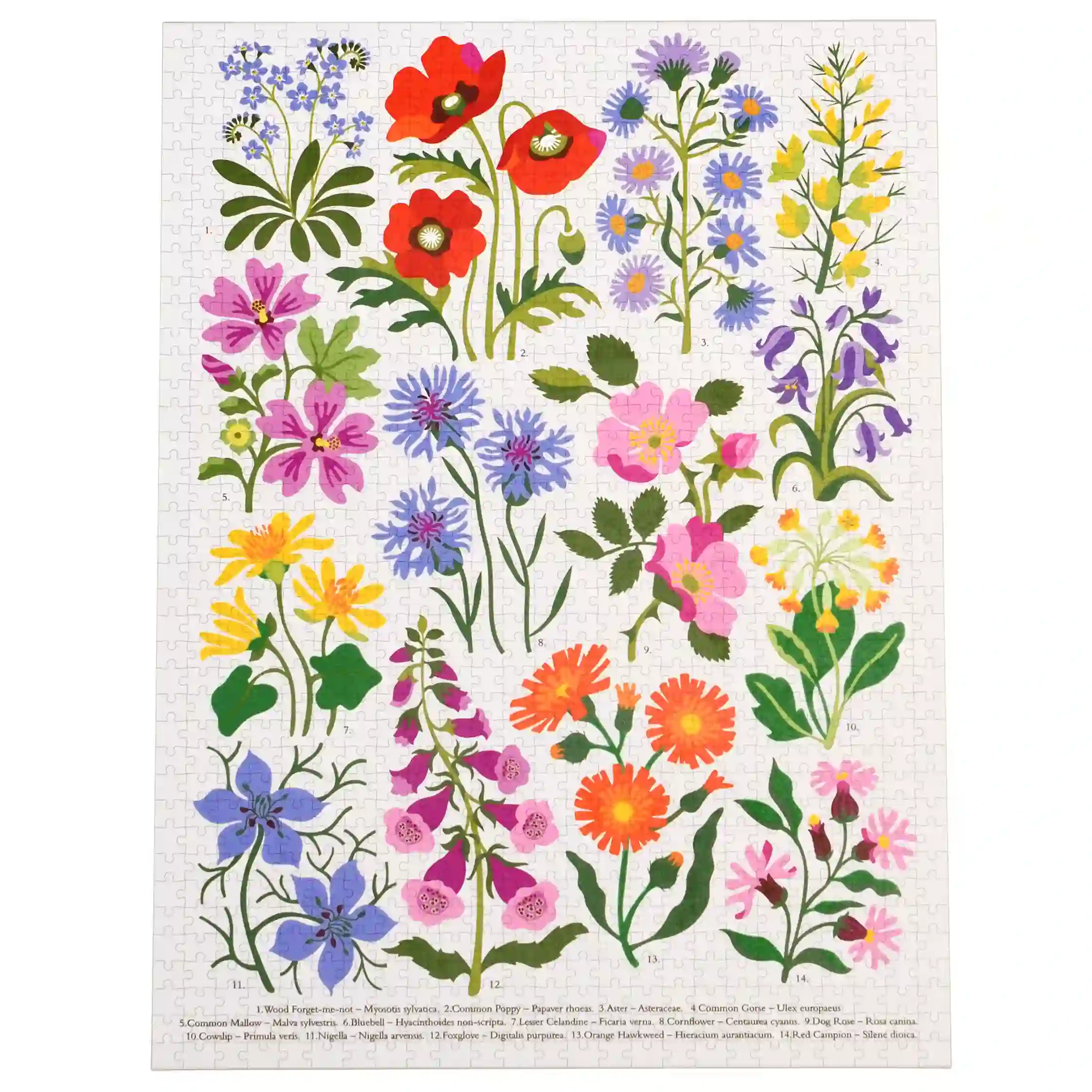 1000-teiliges puzzle wild flowers