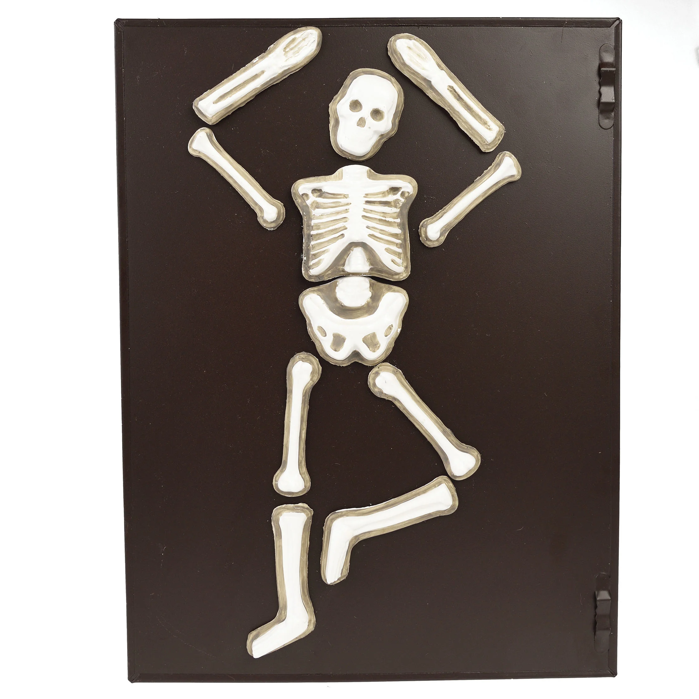 bastelset für ein skelett-modell als kühlschrankmagnet