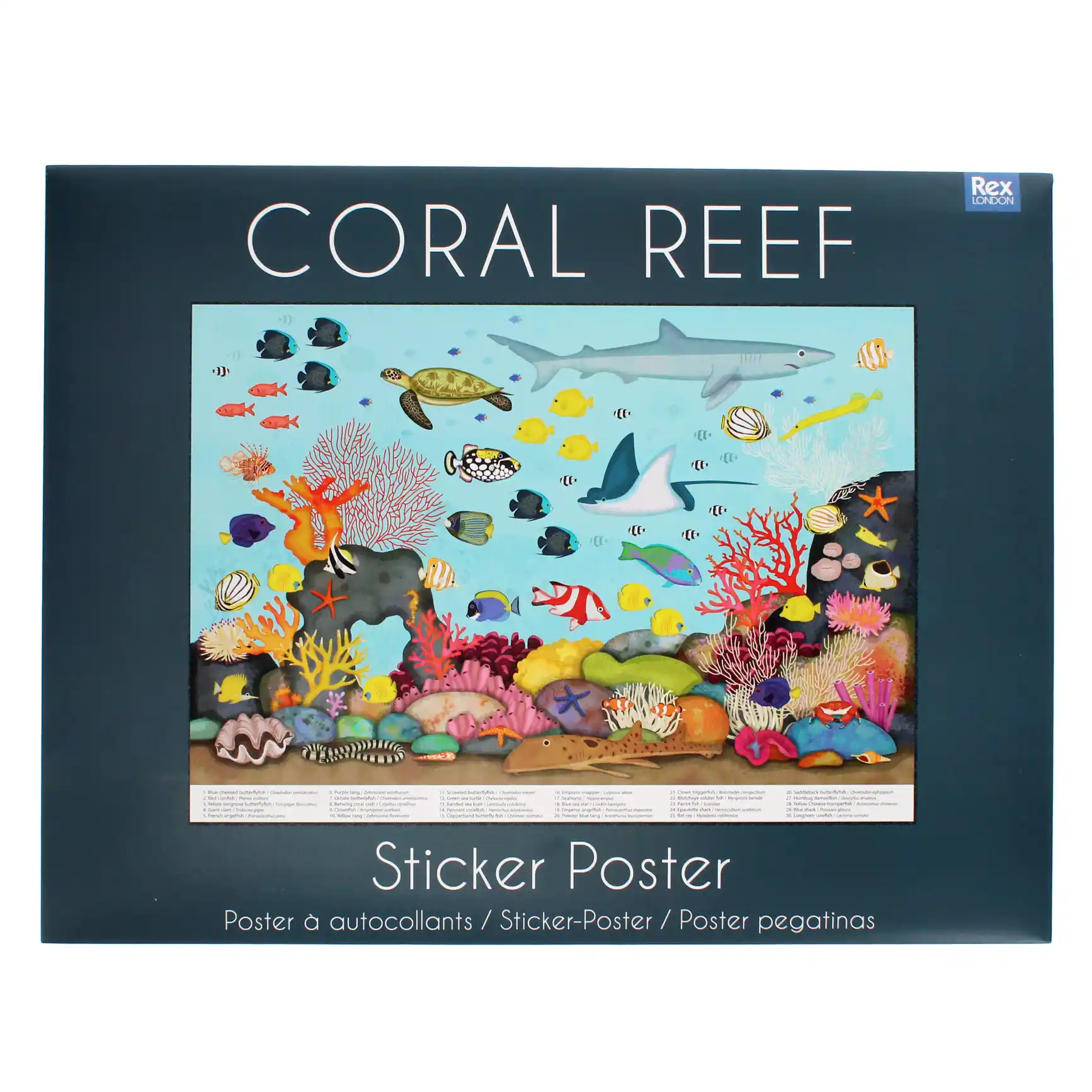 affiche autocollants récif corallien