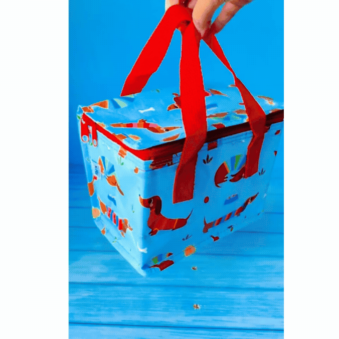 insulated lunch bag - sunny sausage dog