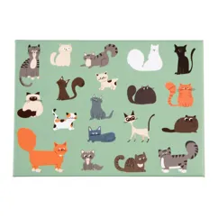 fridge magnet - nine lives