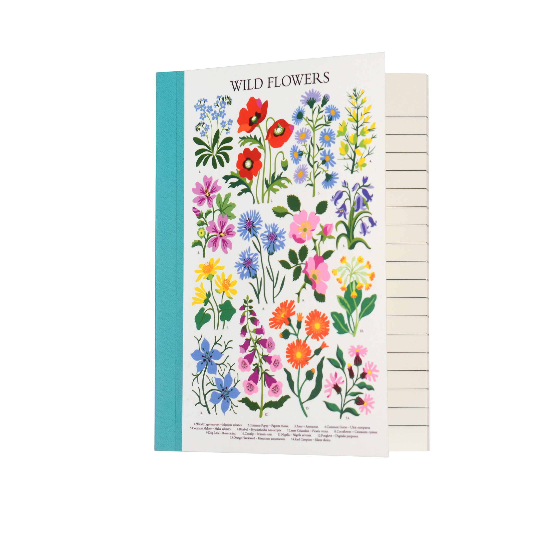 carnet a6 wild flowers