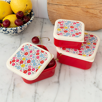 snack boxes & snack bags