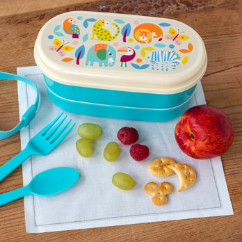 bento box wild wonders