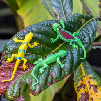 assorted super stretchy gecko assorted super stretchy gecko
