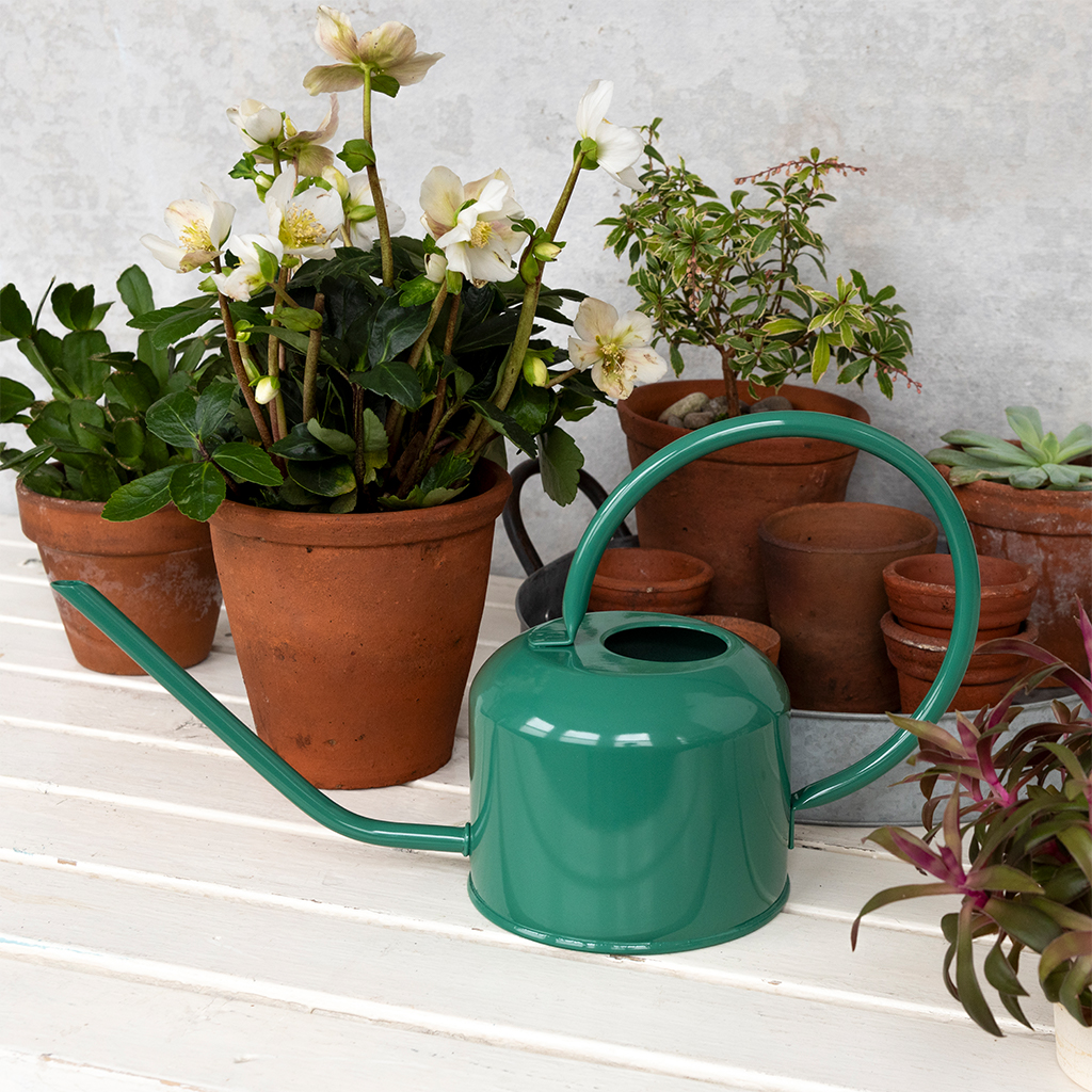 metal watering can 1ltr - dark green
