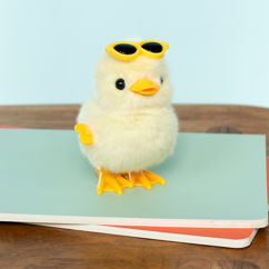 fluffy wind-up toy - duck