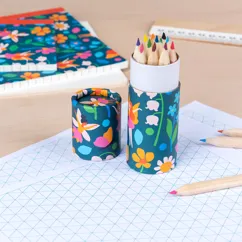 crayons à colorier fairies in the garden (ensemble de 12) crayons à colorier fairies in the garden (ensemble de 12)