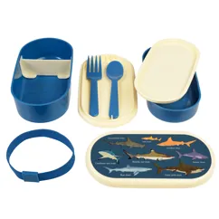 boîte à bento sharks boîte à bento sharks