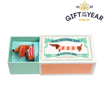 mini sausage dog in a little box
