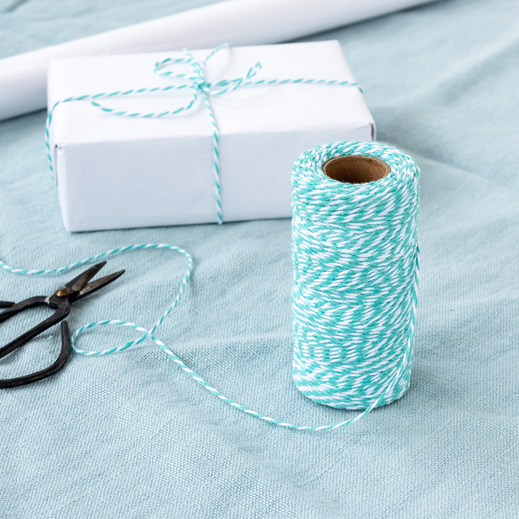 roll of twine (100m) - teal and white