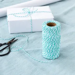 roll of twine (100m) - teal and white roll of twine (100m) - teal and white