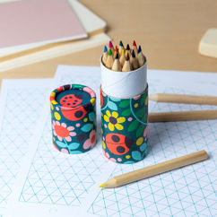 tube de crayons de couleur - ladybird