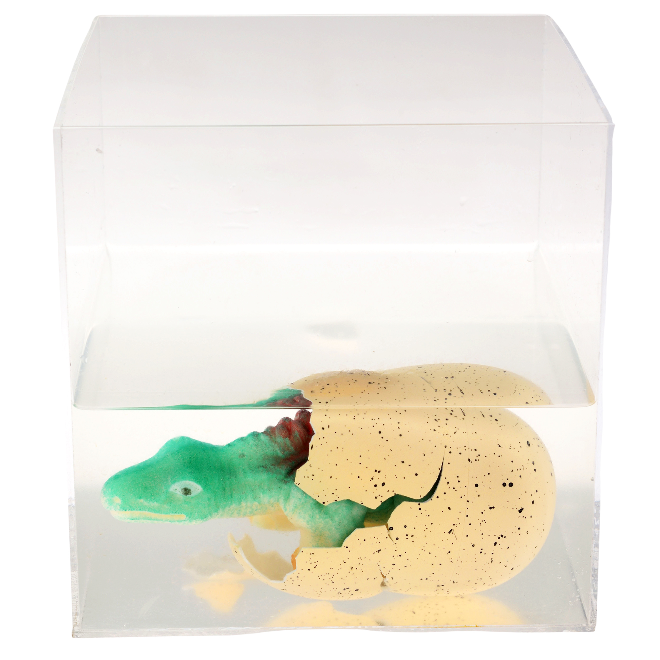 giant hatching dinosaur egg - prehistoric land