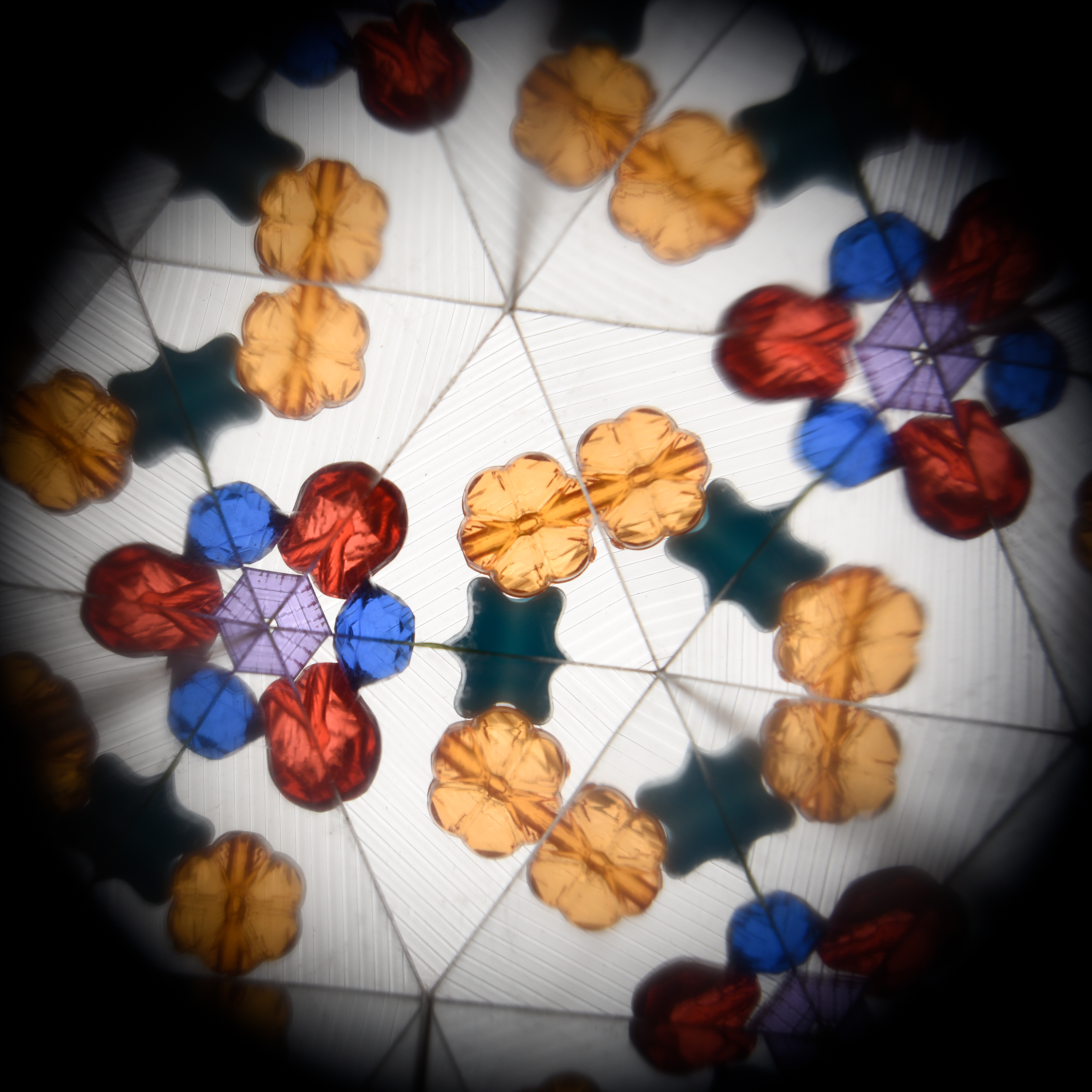 kaleidoscope - colourful creatures