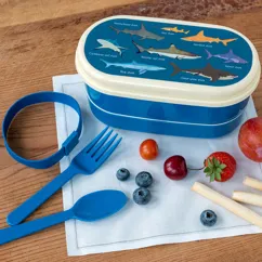 boîte à bento sharks boîte à bento sharks