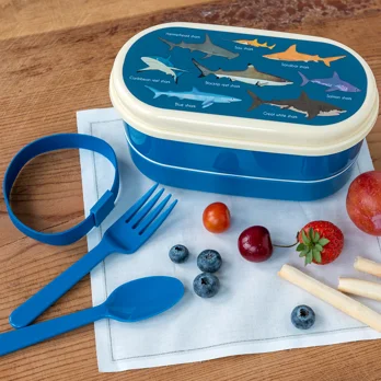boîte à bento sharks boîte à bento sharks