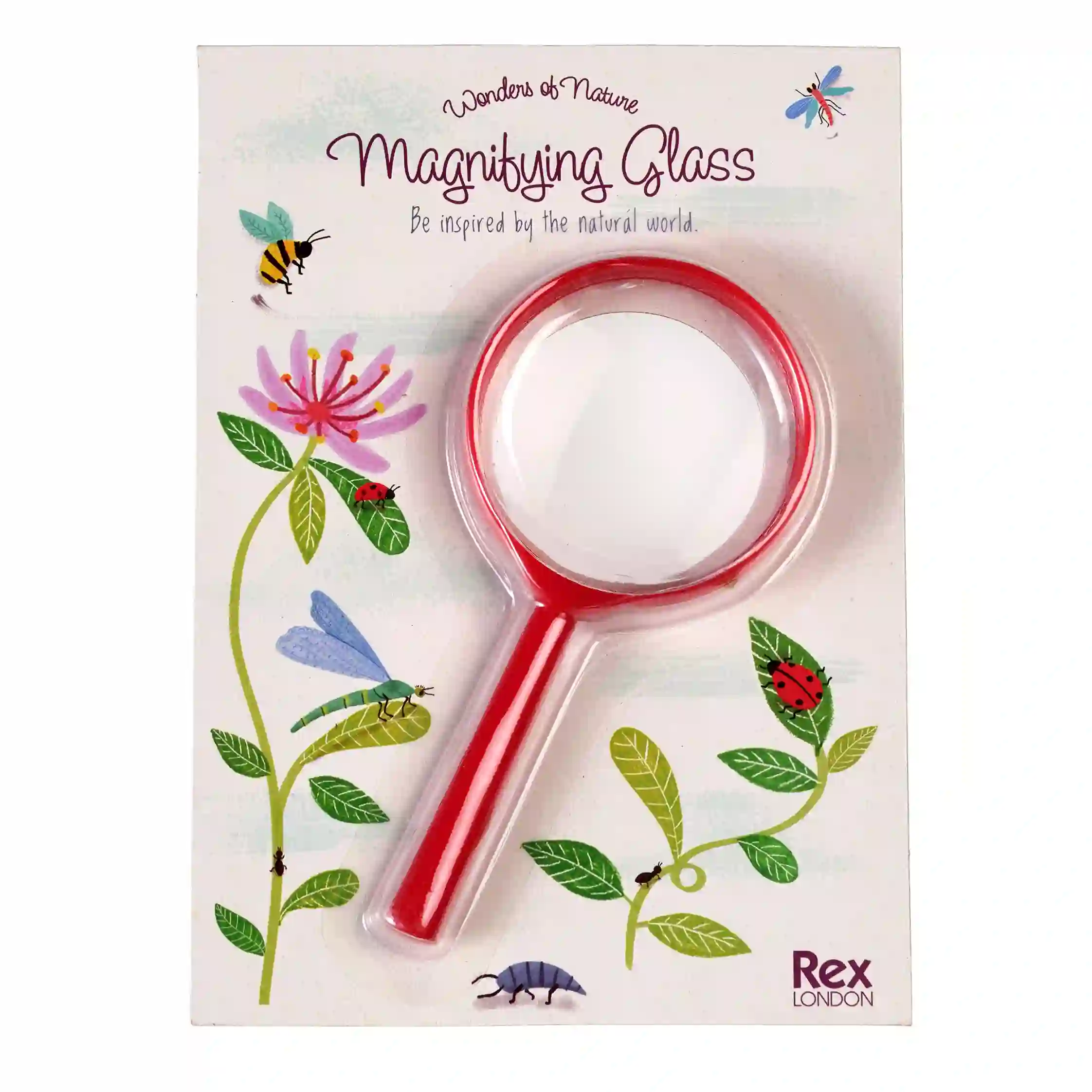 magnifying glass - wonders of nature