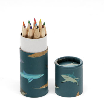 tube of colouring pencils - sharks