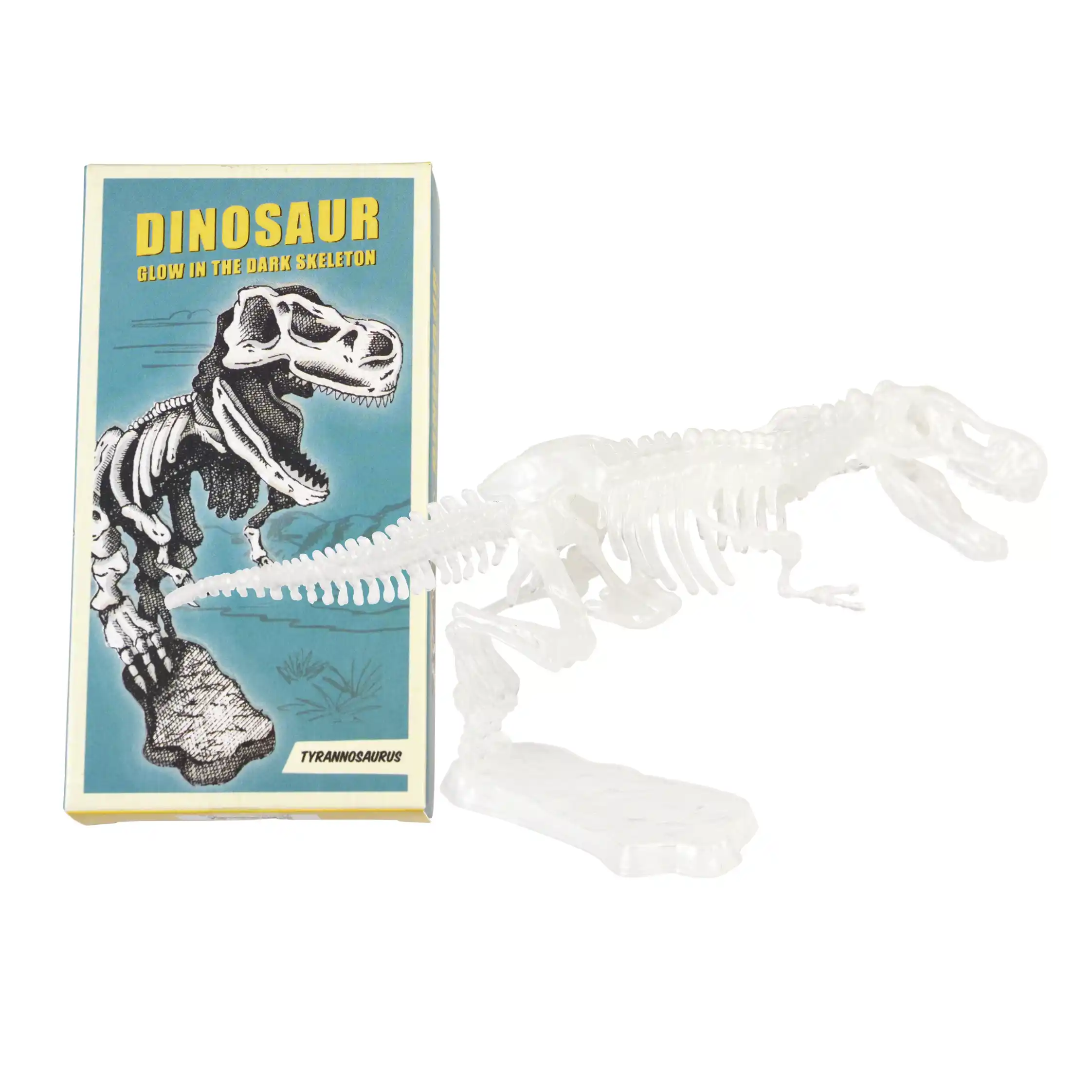 kit de esqueleto de dinosaurio surtido