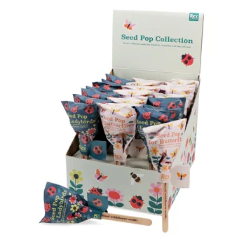 blumensamen - mischung blumensamen - mischung