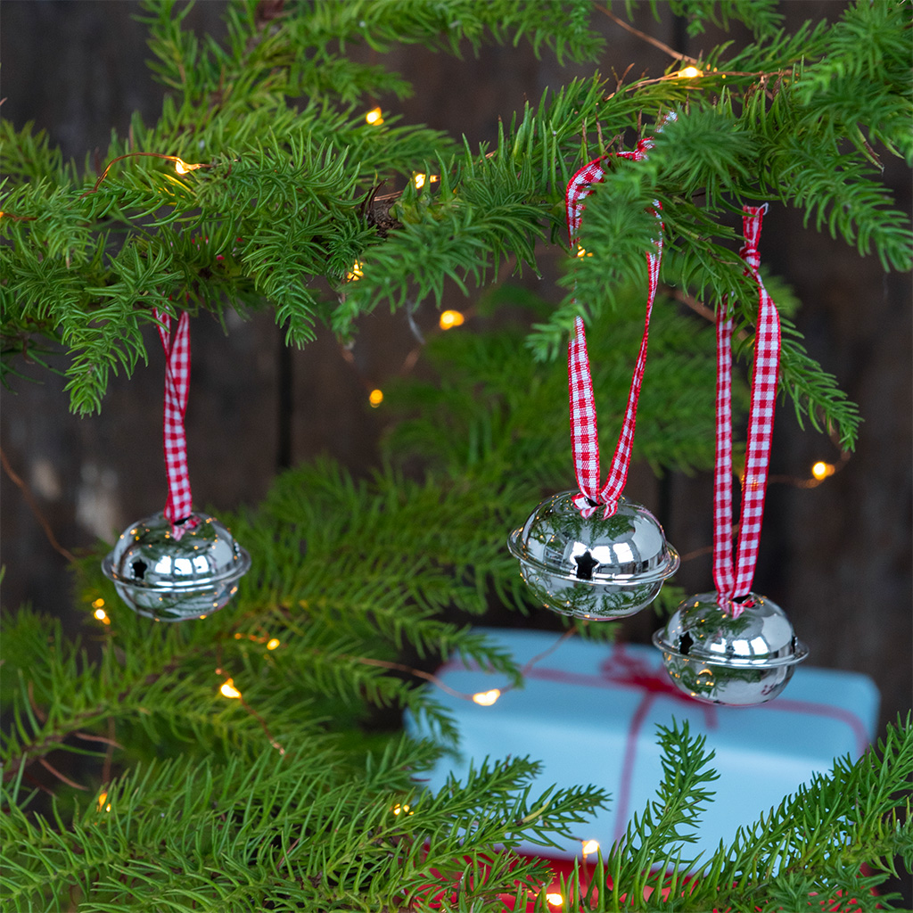 weihnachtsglöckchen winter walk