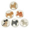 flummis (sortiert) - spielende hundewelpen