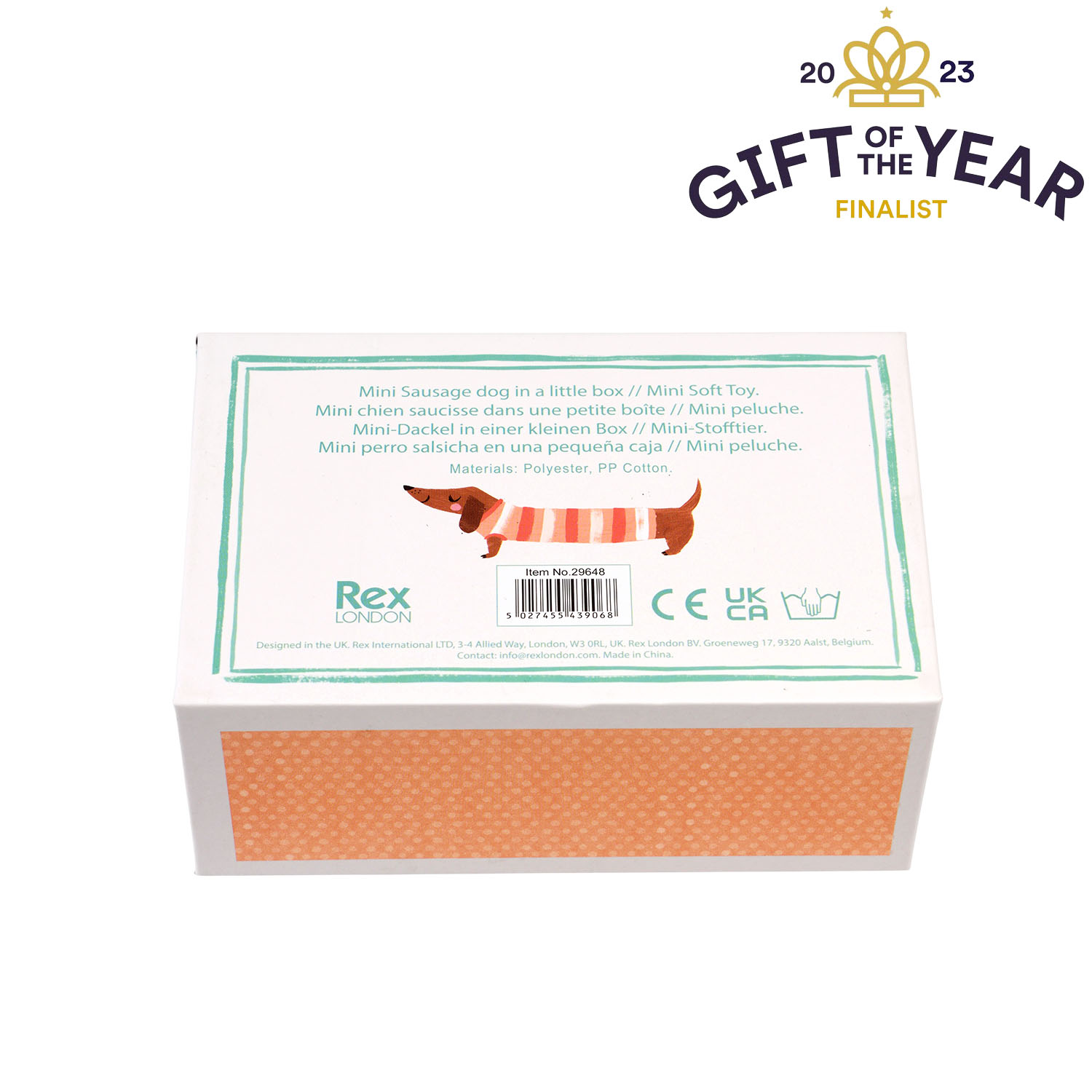 mini sausage dog in a little box