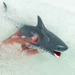 gicleur d'eau requin pour l'heure du bain gicleur d'eau requin pour l'heure du bain