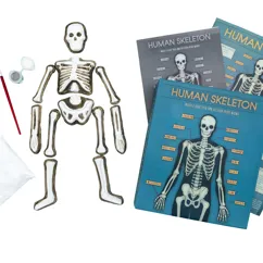 make your own glow in the dark skeleton magnet