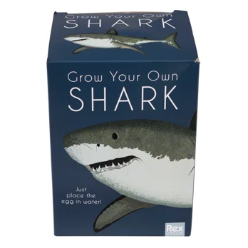 giant hatching shark egg - sharks giant hatching shark egg - sharks