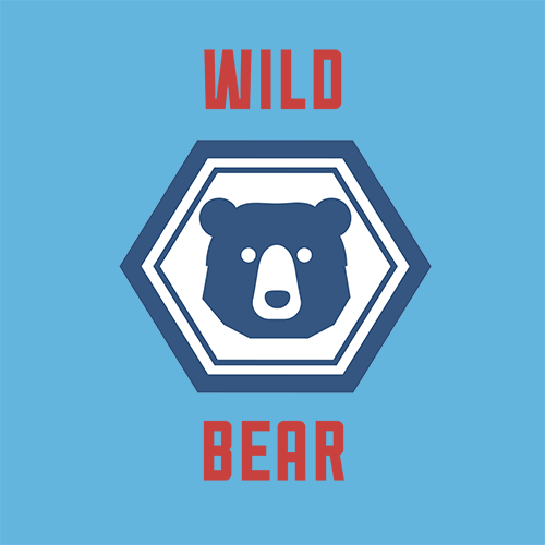 wild bear