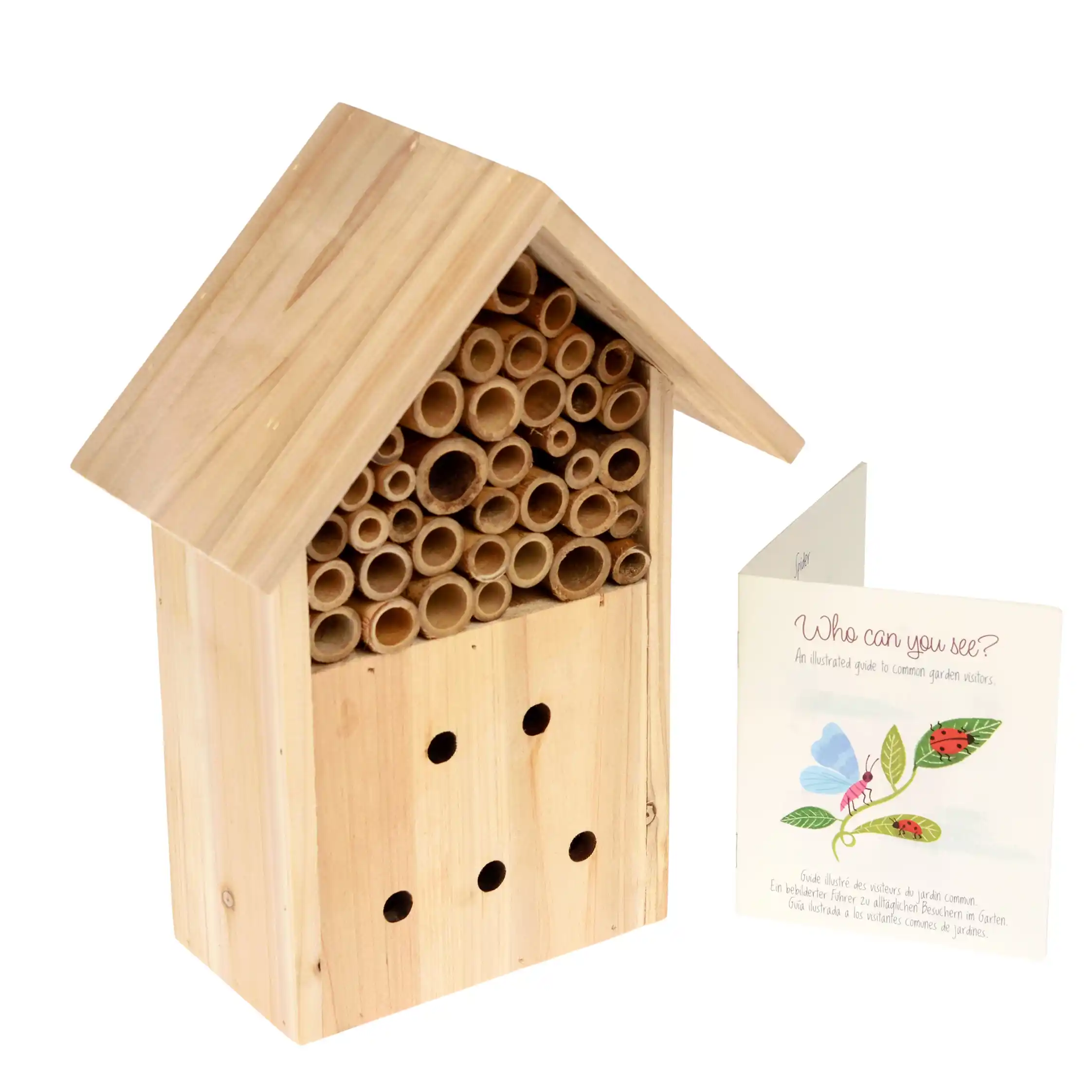 bug hotel - wonders of nature