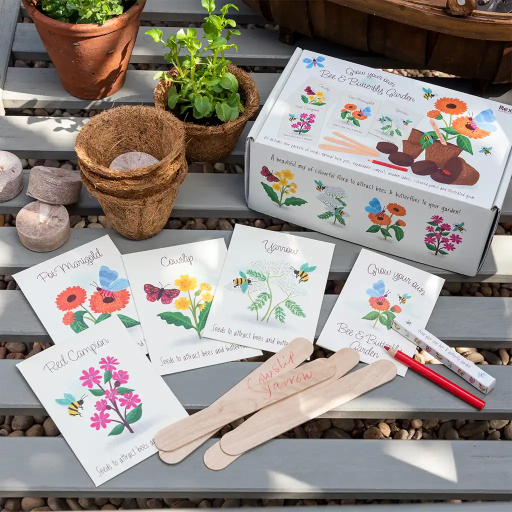 kit de graines de jardin pour abeilles et papillons wonders of nature