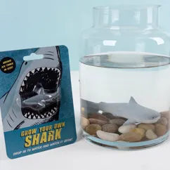 faites grandir votre propre requin faites grandir votre propre requin
