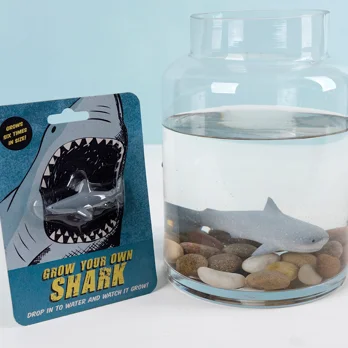 faites grandir votre propre requin faites grandir votre propre requin