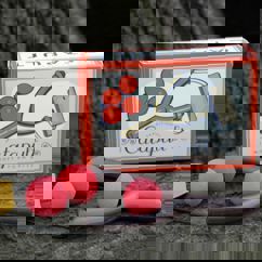 catapulte jouet avec 4 boules de mousse