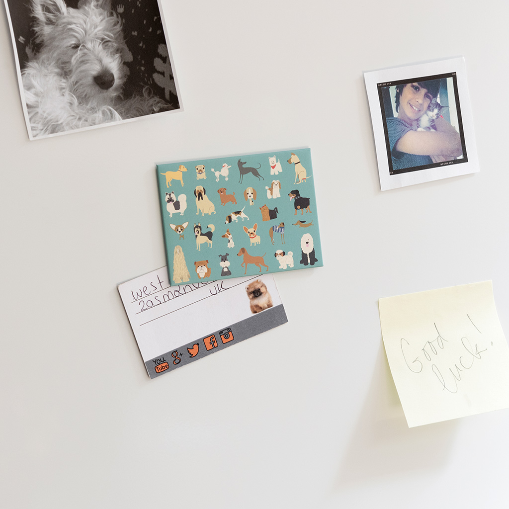 aimant de réfrigérateur﻿ best in show