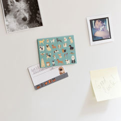 fridge magnet - best in show