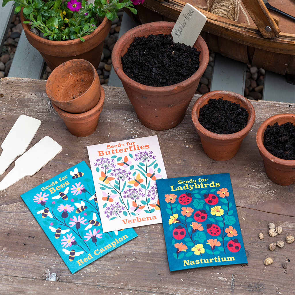 pack of flower seeds - nature collection