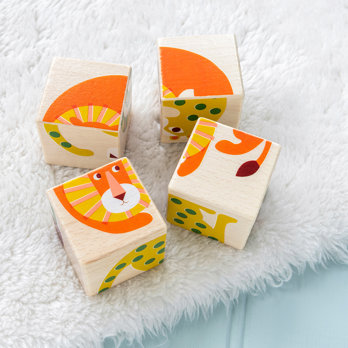 wooden puzzle cubes - wild wonders