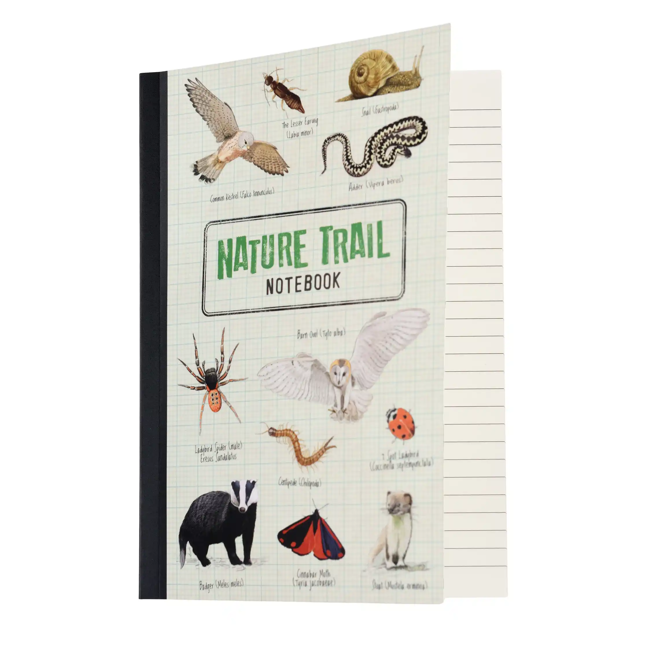 liniertes notizbuch a5 nature trail