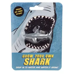 faites grandir votre propre requin